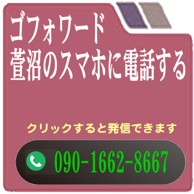 遺品整理・生前整理・断捨離・不用品回収・ゴミ屋敷清掃はゴフォワード｜東京都｜埼玉